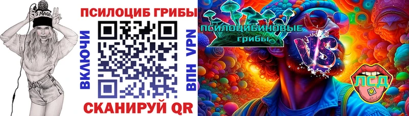 где можно купить наркотик  Вольск  Псилоцибиновые грибы мухоморы 